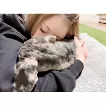 紗貴