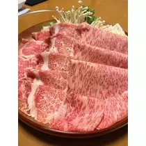 白石 愛莉