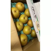 諸星 海