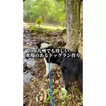 みこ