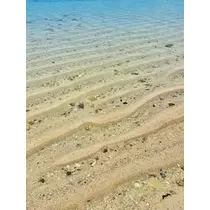 ゆかり