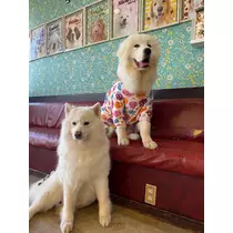 あーだこーだそら