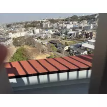 あおい