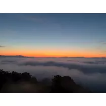 香川 ゆい