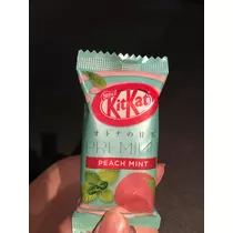 七星 夏純