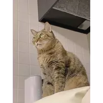 華宮 れい