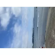 ねね