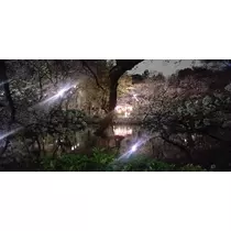 りか
