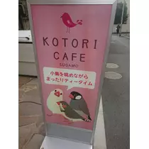 ちよママ