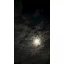 マヤ