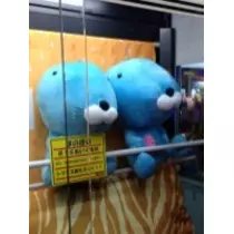 NATSUMI