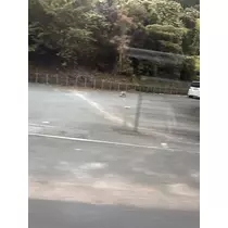 るな