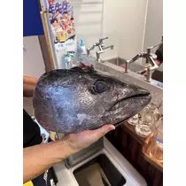 神崎 蘭