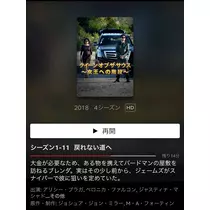紗貴