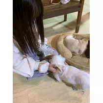 ゆうな