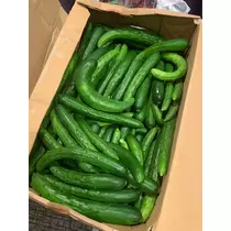 友美 ママ