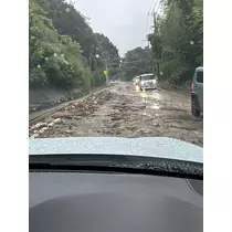 林檎