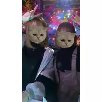 かりん