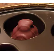 紫音