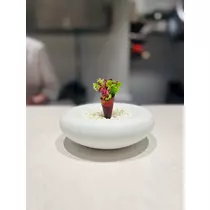 向日葵 ひまり