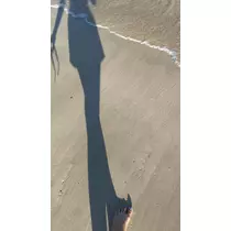 しょう