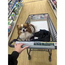 あいら