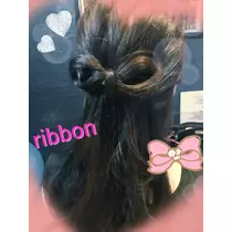 紫音