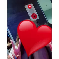 つぐみ