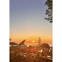 香川 ゆい