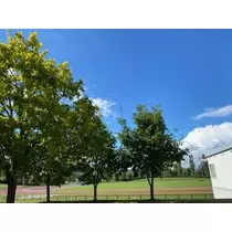 桐島 りゅう