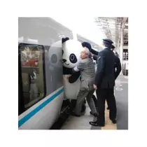 蓮見 リア