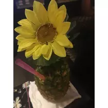 白石 愛莉
