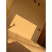 いずみ