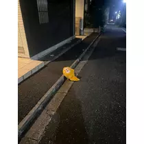 マリナ
