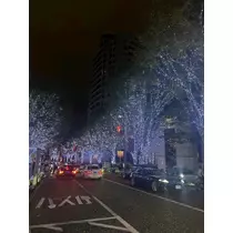 れな