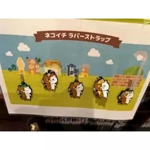空条 しいな