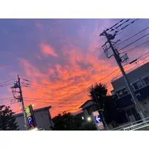 あいり