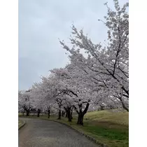 れみ
