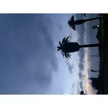 はむ