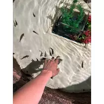 芹沢 莉瀬