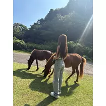 のぞみ