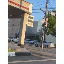 白石 愛莉