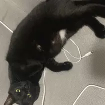 響
