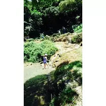 ゆかり