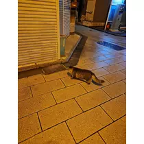 ほのか