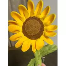 緑 四葉