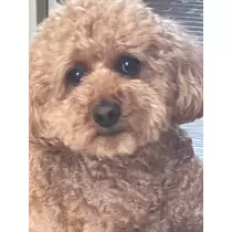 みり