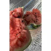 北乃 アリス