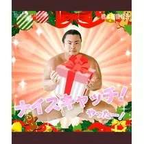 ひな