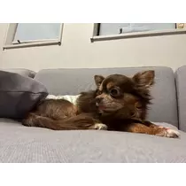 まり